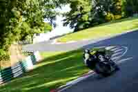 Advanced Group Blue Bikes